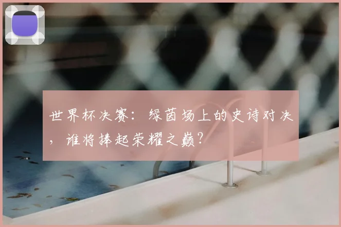 世界杯决赛：绿茵场上的史诗对决，谁将捧起荣耀之巅？
