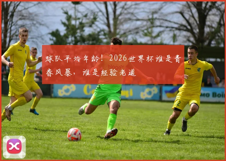 球队平均年龄！2026世界杯谁是青春风暴，谁是经验老道